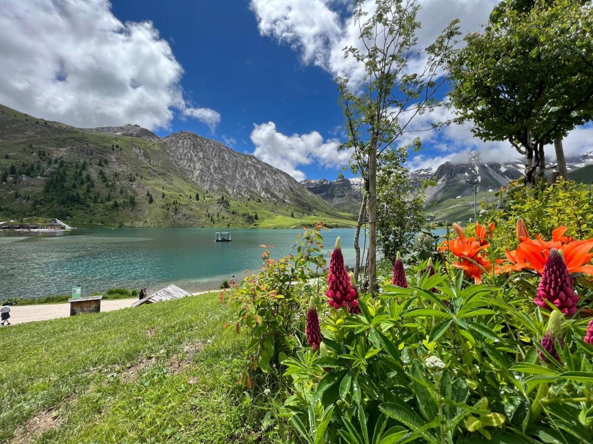 Myhome - Genepis 9 - Studio Renove Tignes Val Claret 4 Pax Sks Aux Pieds Eksteriør billede